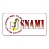 Аккумуляторы для мобильных телефонов Snami